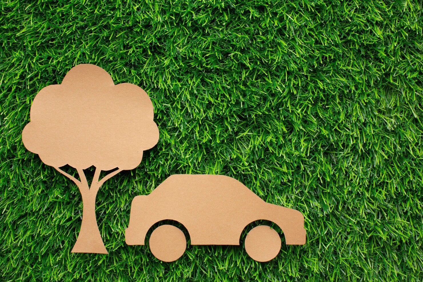 Etiquetas Medioambientales 0 y eco