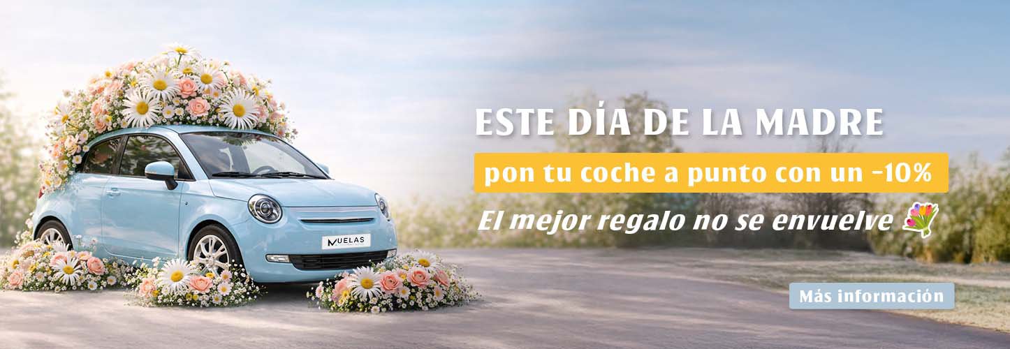 Promoción Día de la Madre | -10% en Mantenimiento